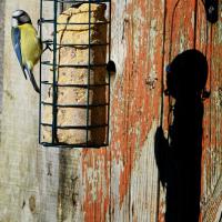 Sans l'ombre d'un doute... 