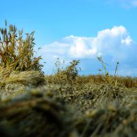 Solidaires eet solitaires